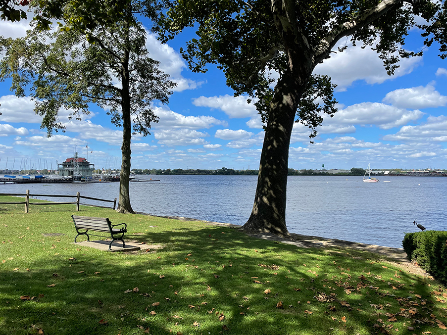 RED BANK: PARK WORK STARTS WITH MISHAP - Red Bank Green