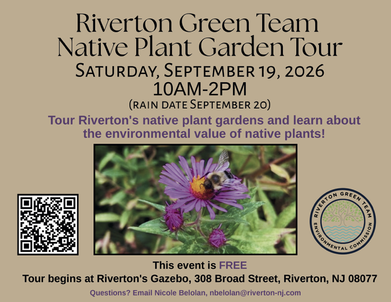 Riverton Green Team Native Plant Garden Tour flyer on brown background. Includes date (Sept. 19, 2026) and time (10AM-2PM), starting at 308 Broad Street. Includes photo of a purple flower with a bee on top. Includes QR code and Riverton Green Team and environmental Commission logo.